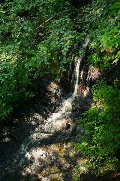 DSC_2805 (Large).JPG